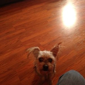 Meet your Posher, Donna